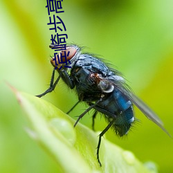 滨(bīn)崎(qí)步高清(qīng)图片(piàn)