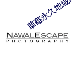 草莓永久地域网名入2022