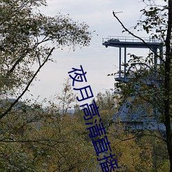 夜月高清直播間