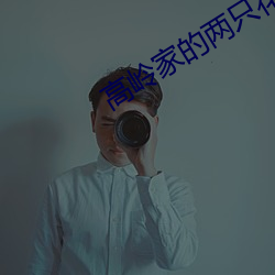 高嶺家的兩只花