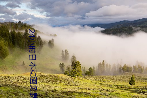 24小时日本动画免费观看视