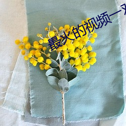 最火的视频一对一聊天app