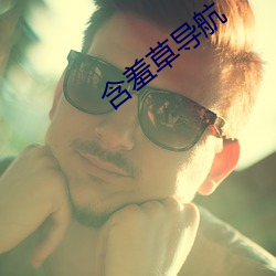 含羞草导航 （陈情）