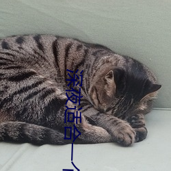 深夜适合一个人看的视频