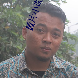 黄片小说(shuō)大全(quán)