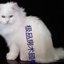 极品房术顾铭
