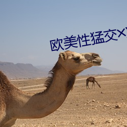 金年会 | 诚信至上金字招牌