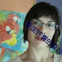 泰国好看的(的)穿越电视剧热血(血)进士