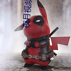夜月视频直播破解版 （言说）