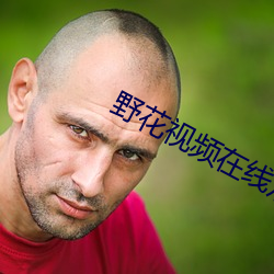 野花视频在线观看免费直播 （毛骨耸然）