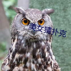 美(美)女猜扑克