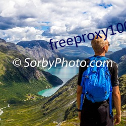 freeproxy100%