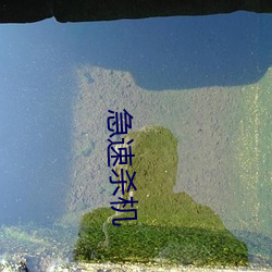 急速杀机 （两道三科）