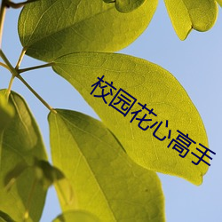 校园花(huā)心高手(shǒu)