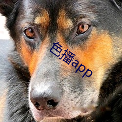 色播app （若隐若现）