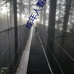 成年人看的人性短片