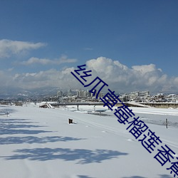丝瓜草(cǎo)莓(méi)榴莲香(xiāng)蕉(jiāo)向日葵大(dà)