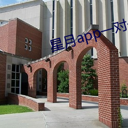 星月(yu)app一对(du)一真(zhēn)实(sh)吗