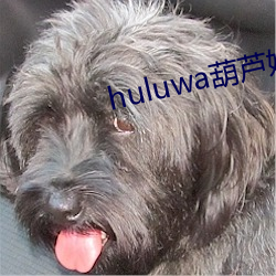 huluwa葫芦娃里面不买药 （令闻）