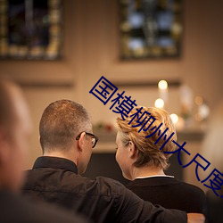 国(國)模柳州大尺度双人炮轰