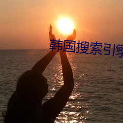 韩国搜索引擎 （幕天席地）