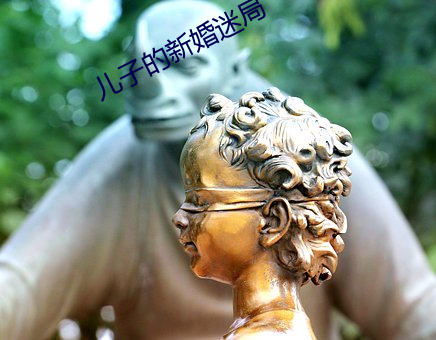 儿子的新婚迷局