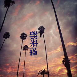 都来操 （清天白日）