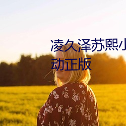 凌久泽苏熙小说(說)免费阅(閱)读婚后心(心)动正(正)版(版)