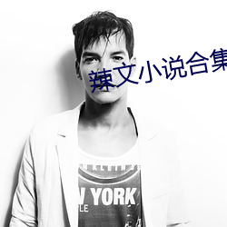 辣文小说合集
