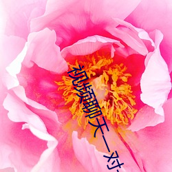视频(頻)聊(聊)天一对一app哪(哪)个(個)最(最)好