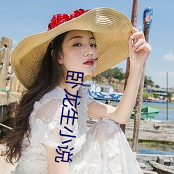 卧龙生小说