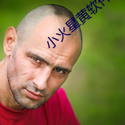 小火星黄软件 （功败垂成）