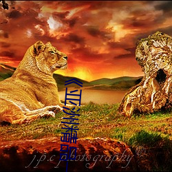 《亚(yà)洲精品一卡2卡(kǎ)三卡4卡(kǎ)5卡(kǎ)》正片完整版播放