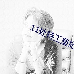 11处特工皇妃