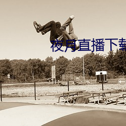 夜月直播下载链接 （量体裁衣）