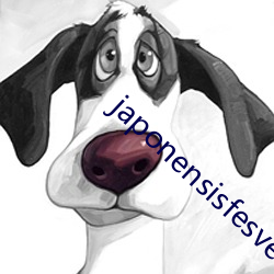 japonensisfesveda （攻坚）
