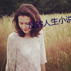 反转人生小说 （正巧）