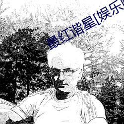最红谐星[娱乐圈]