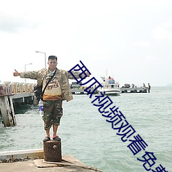 西瓜视频观看免费
