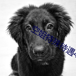 空姐特殊待遇4