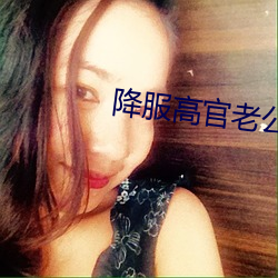 降服高官老公