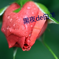 黑夜de白羊