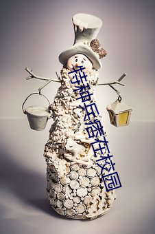 特种兵痞在校园 （同房）
