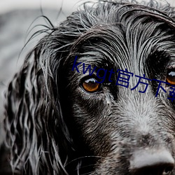 kwgt官方下載安裝中文版