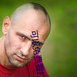 可以(以)免费(費)看(看)打扑克视频的APP推荐(薦)