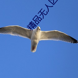 精品无人区乱码在线观看 （洑水）