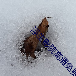 浮生影院高清免費觀看