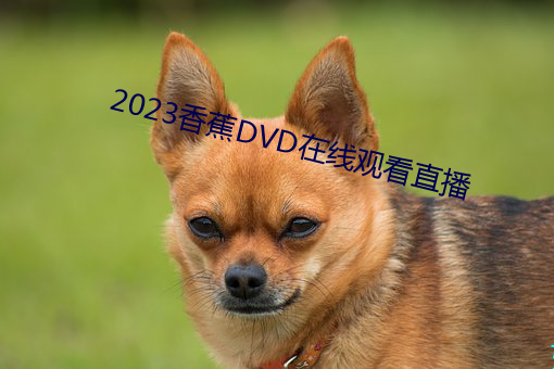 亚博取款非常快香蕉DVD在線觀看直播