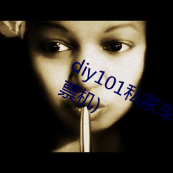 diy101私家車2.7.0(DIY101私家車補票機)