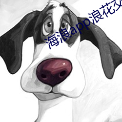 海浪app浪花交易所